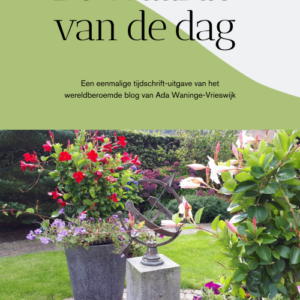 Tijdschrift